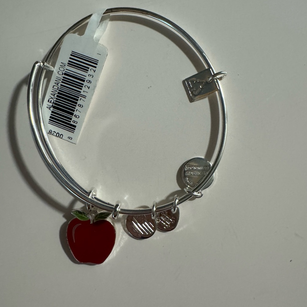 Alex & Ani Teacher Bangle